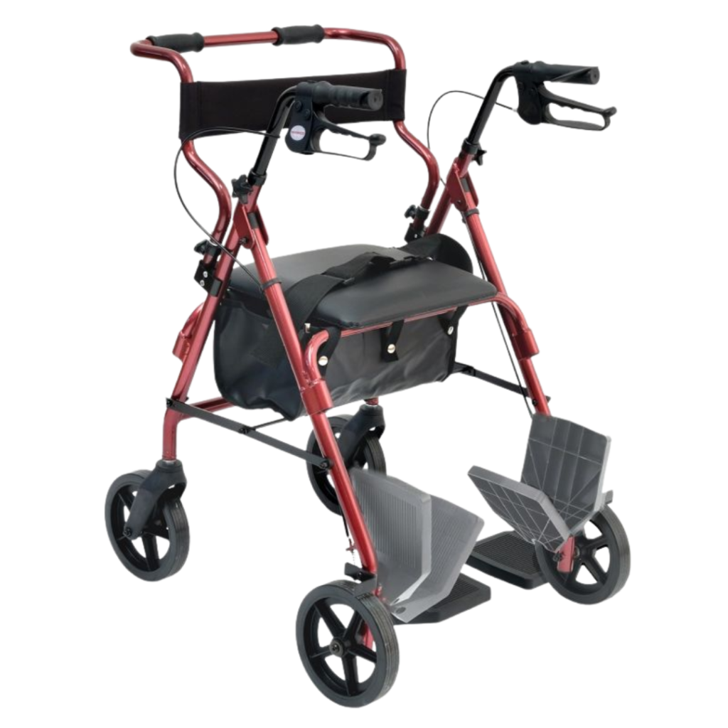 rollator carrozzina da transito ROLLY-2