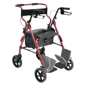 Deambulatore/Carrozzina 2 in 1 Rolly2